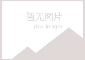 兰山区念波工程有限公司